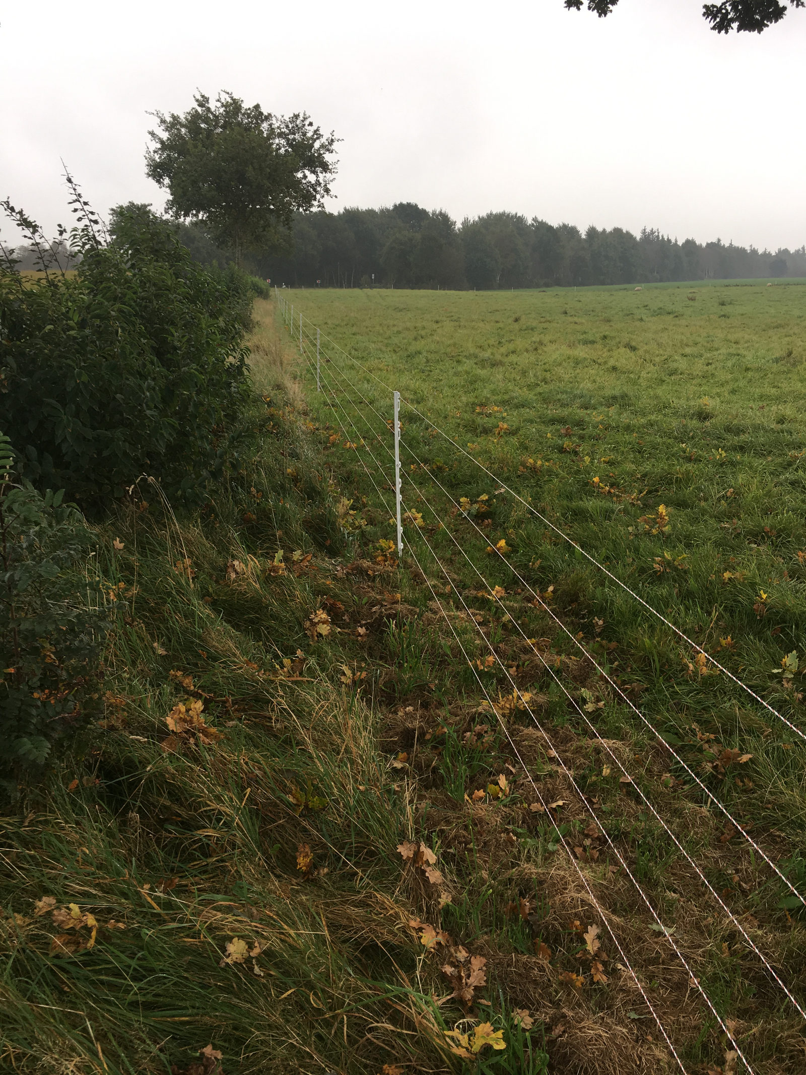 Mobilzaun zur Wolfsabwehr